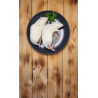 Potkan laboratorní 5 kusů, váha 1 kusu 150-250 g