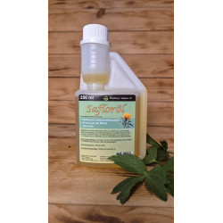 Světlicový olej 250 ml