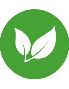 Veganské hypoalergenní pamlsky